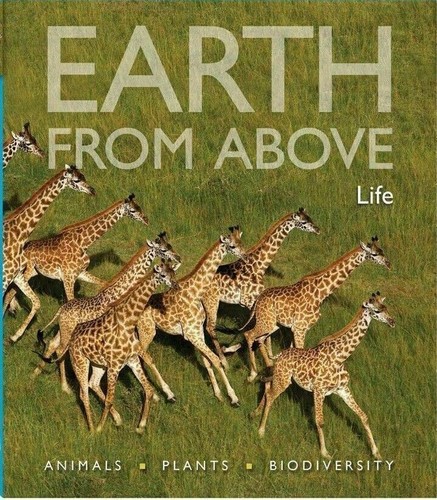 Earth from above life - earth, above:
