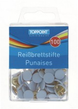 100 Reißbrettstifte