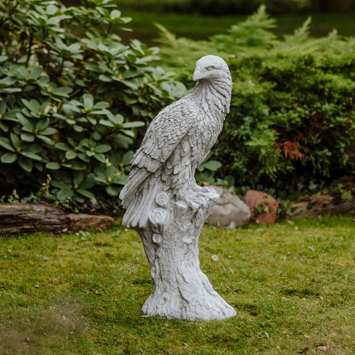 Adler auf baumstumpf - baumstumpf, falke