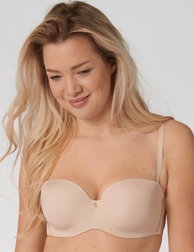 Triumph body make - body,