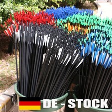 12X 30Zoll Carbonpfeile