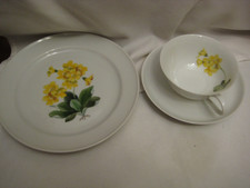 Rosenthal Porzellan Helena selb - Germany Handmalerei Tasse Teller Kuchenteller