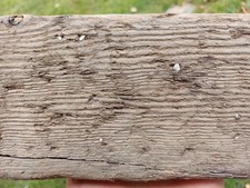 dickes, dunkles Uralt -Brett