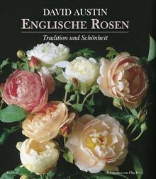 Englische rosen von - englische,