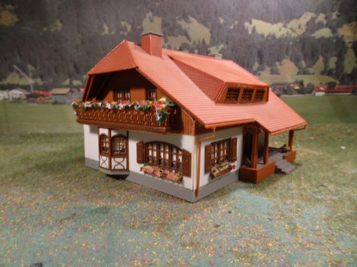 Schwarzwaldvilla aus - h0,
