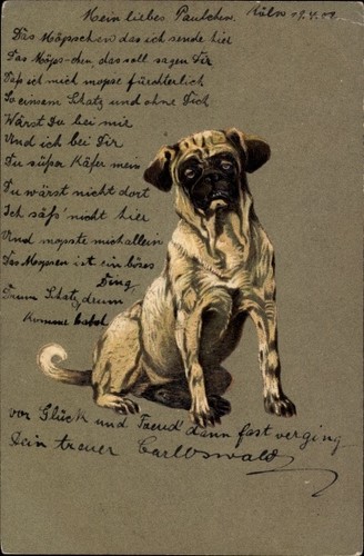 Präge litho mops hund - präge, mops,