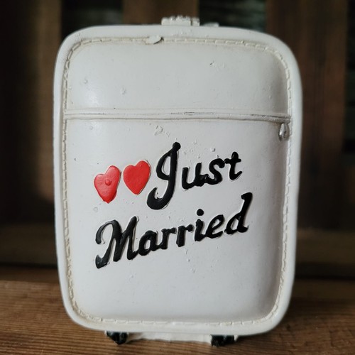 Brautpaar koffer just married - brautpaar,