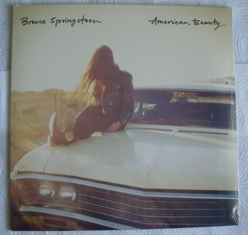 Bruce springsteen american - bruce,