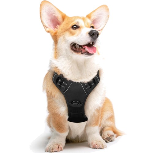 Hundegeschirr groß gummi - groß,