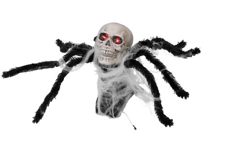Europalms halloween pop - europalms,