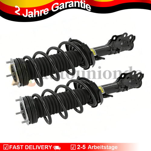 Komplett stoßdämpfer - 2x,