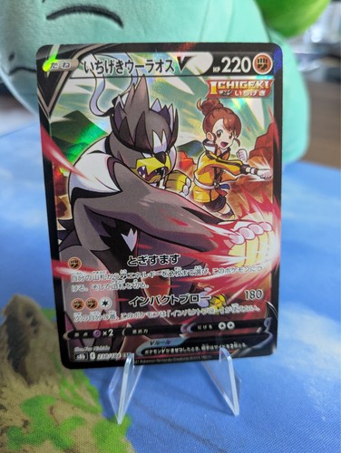 Pokémon karte - pokémon,