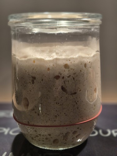Lievito madre sauerteig - madre,