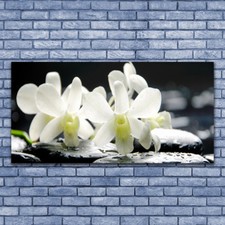 Acrylglasbilder Wandbilder