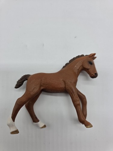 Trakehner fohlen aus - fohlen, 82953