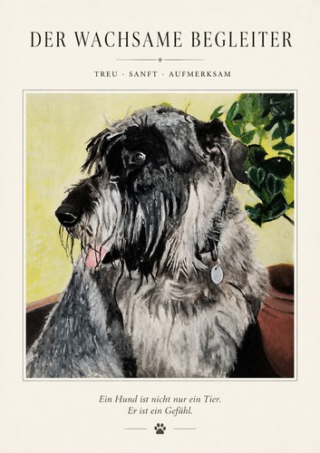 Riesenschnauzer giant - riesenschnauzer,
