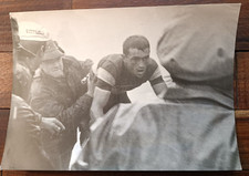 Michele Dancelli In Tricolore