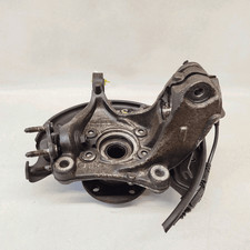 Aufsteigender Sosp. Ameise