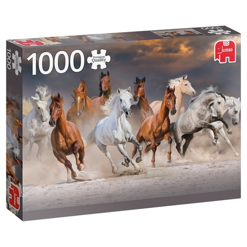 Pferde der wüste 1000 - pferde,