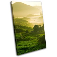 Landscape Field Countryside