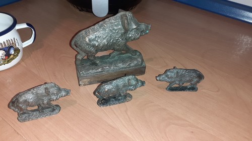 Alte wildschwein keiler - alte,
