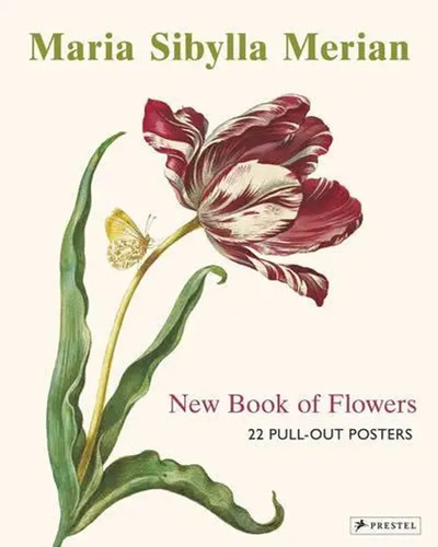Maria sibylla merian the - sibylla, new