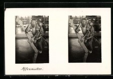 Stereo-AK Affenmutter mit Affenbaby 