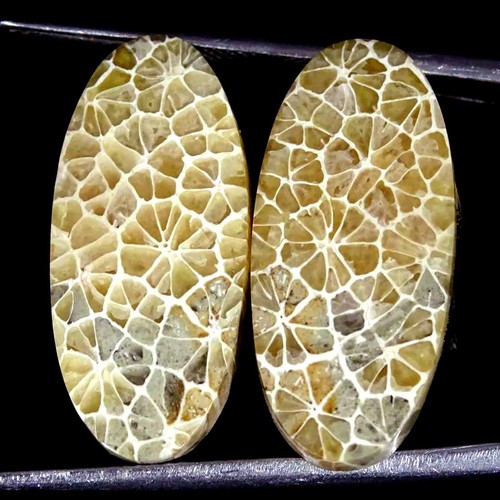 70cts natürlich - 23.70cts,