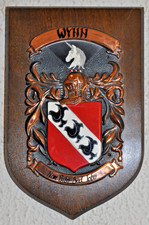 Familie wynn plakette schild - familie,