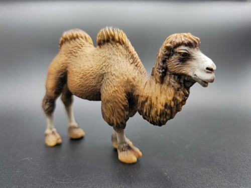 Schleich 14348 - ⭐️,
