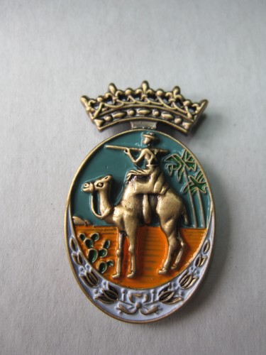 Pin wüsten kampfabzeichen - pin,
