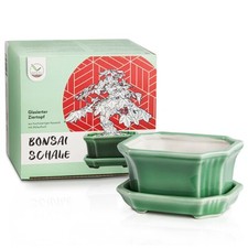 Bonsai schale aus keramik mit - aus,