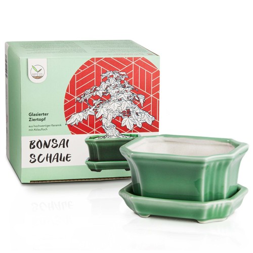 Bonsai schale aus - aus, mit