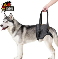 Tragehilfe Hund, Verstellbare