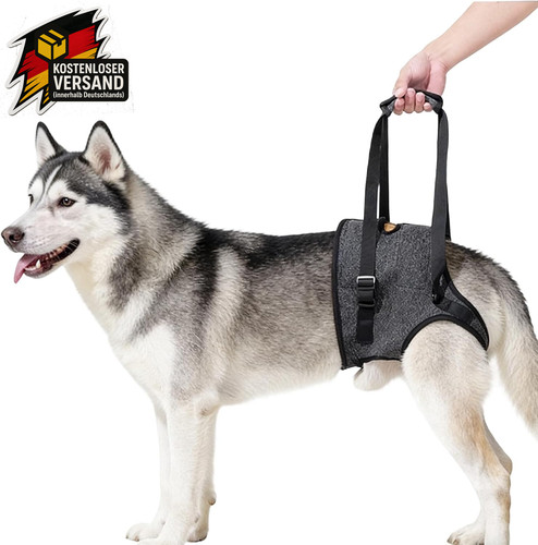 Tragehilfe hund verstellbare - tragehilfe, hund,