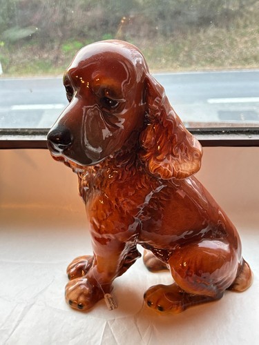 Sitzender brauner hund von - brauner,