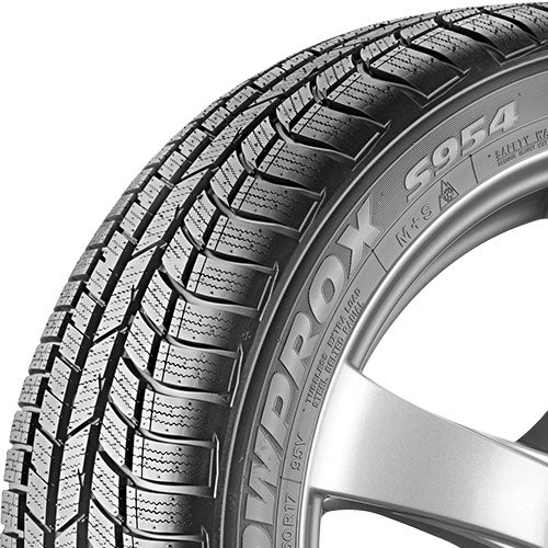 Toyo snowprox 954 - toyo, r19