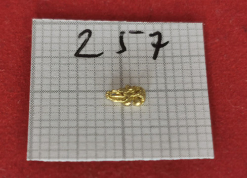 257 goldnugget alaska - alaska, yukon