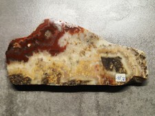 259g Korallen ACHAT Halsbach