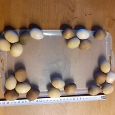 Holzeier 23 Eier Holz