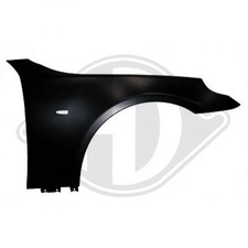 Diederichs Kotflügel links