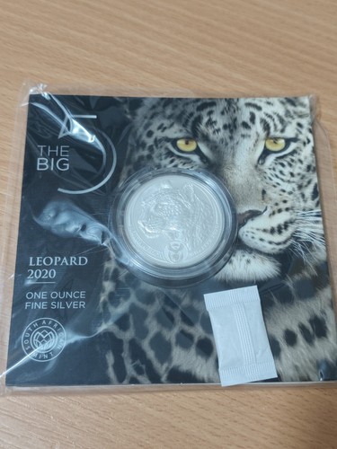 Big five leopard - big, leo