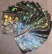 77 St.   Sammelbilder