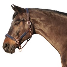 Lederhalfter Halfter