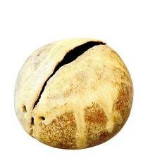 Signierte Studiokeramik Vase