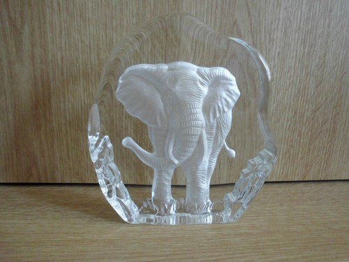 Glasbild elefant blockglas - elefant,