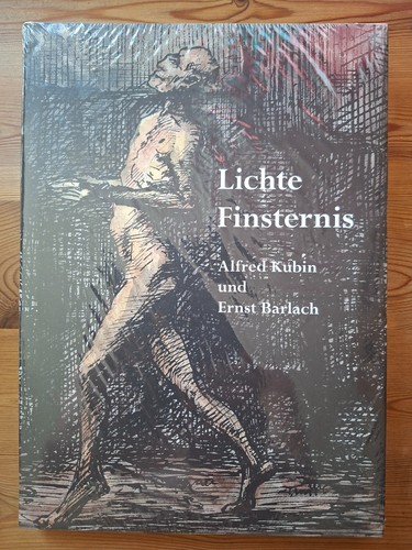 Lichte finsternis ernst - finsternis,