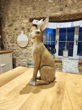 Shudehill Country brauner Hase