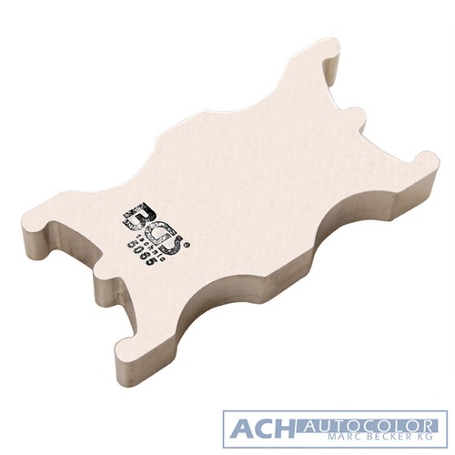 Nockenwellen-Arretierwerkzeug