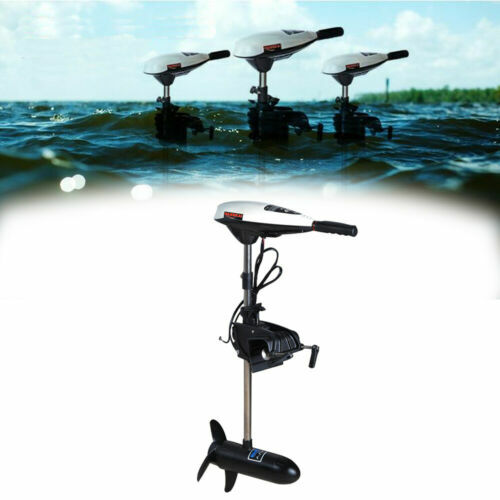 Bis 65lbs motor - 48,